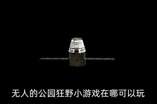 狂野 游戲，狂野角斗士小游戲有哪些