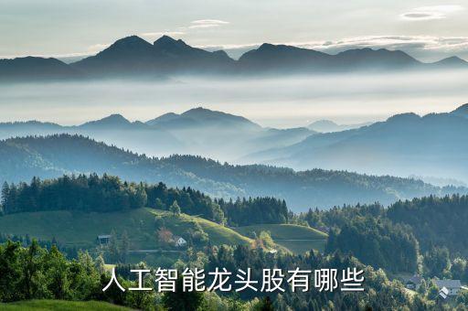 人工智能概念股龍頭股票有哪些，人工智能龍頭股有哪些