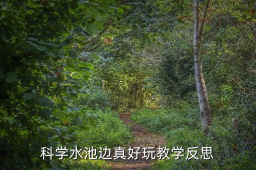 科學(xué)水池邊真好玩教學(xué)反思