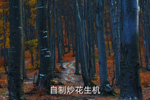 機(jī)器炒花生需要加些什么，自制炒花生機(jī)