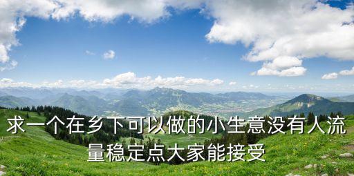 求一個在鄉(xiāng)下可以做的小生意沒有人流量穩(wěn)定點(diǎn)大家能接受