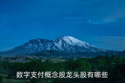 數(shù)字支付概念股龍頭股有哪些