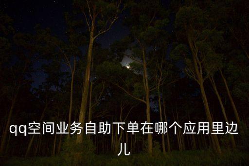 qq空間業(yè)務(wù)自助下單在哪個(gè)應(yīng)用里邊兒