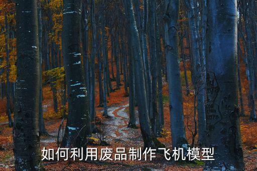 廢物利用科技小制作飛機(jī)，如何利用廢品制作飛機(jī)模型