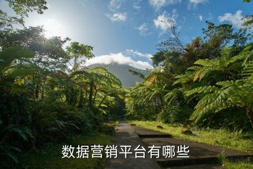 大數(shù)據(jù)營(yíng)銷平臺(tái)網(wǎng)站，數(shù)據(jù)營(yíng)銷平臺(tái)有哪些