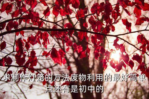 變廢為寶手工小制作燈籠，求制作燈籠的方法廢物利用的最好簡單點(diǎn)還有是初中的