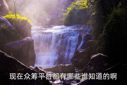 現(xiàn)在眾籌平臺都有哪些誰知道的啊