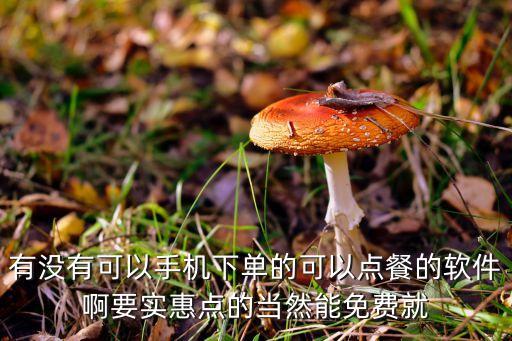 有沒(méi)有可以手機(jī)下單的可以點(diǎn)餐的軟件啊要實(shí)惠點(diǎn)的當(dāng)然能免費(fèi)就