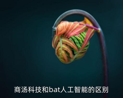 商湯科技自動(dòng)駕駛，商湯科技和bat人工智能的區(qū)別