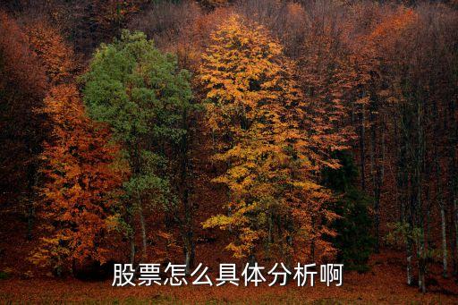 股票怎么具體分析啊
