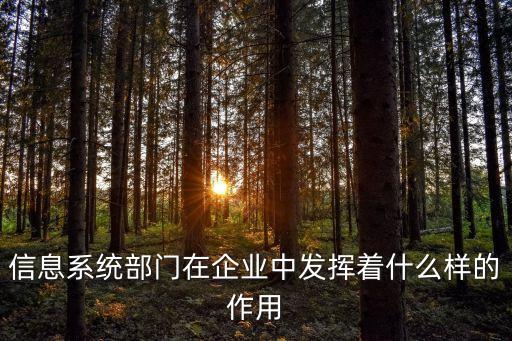 信息系統(tǒng)部門在企業(yè)中發(fā)揮著什么樣的作用