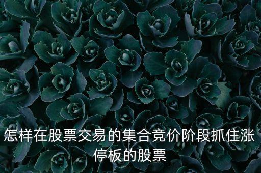 集合競價抓漲停板，關于 集合競價抓漲停