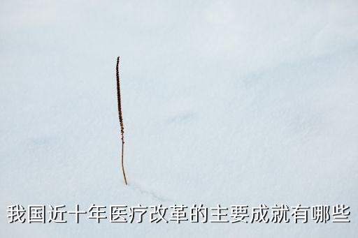我國近十年醫(yī)療改革的主要成就有哪些