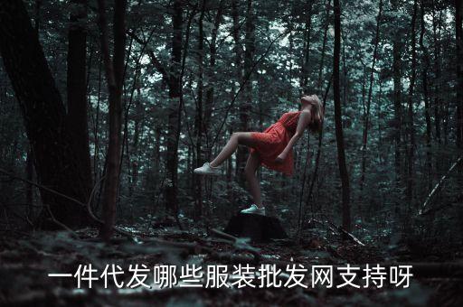 一件代發(fā)哪些服裝批發(fā)網(wǎng)支持呀