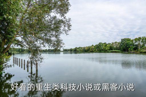 好看的重生類科技小說或黑客小說