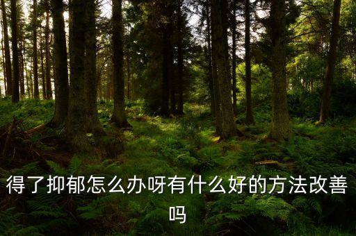 科研 抑郁，得了抑郁怎么辦呀有什么好的方法改善嗎