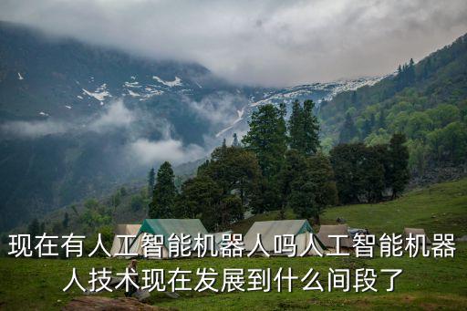 現(xiàn)在有人工智能機(jī)器人嗎人工智能機(jī)器人技術(shù)現(xiàn)在發(fā)展到什么間段了