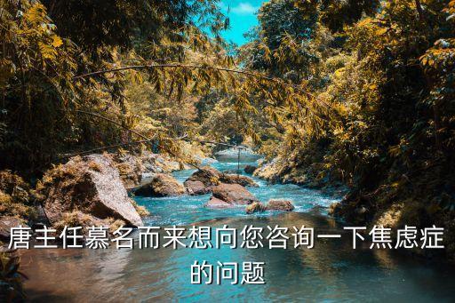 唐主任慕名而來想向您咨詢一下焦慮癥的問題
