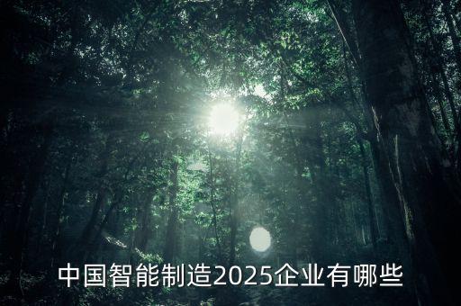 中國(guó)智能制造2025企業(yè)有哪些