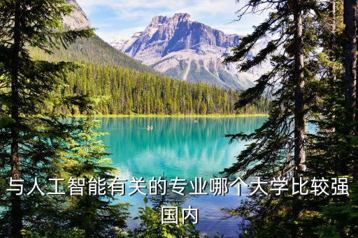與人工智能有關(guān)的專業(yè)哪個大學(xué)比較強國內(nèi)