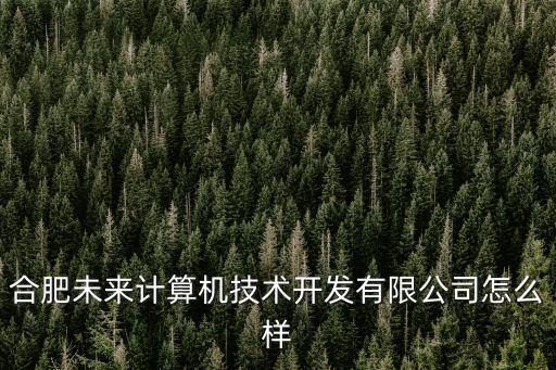 合肥未來(lái)計(jì)算機(jī)技術(shù)開(kāi)發(fā)有限公司怎么樣