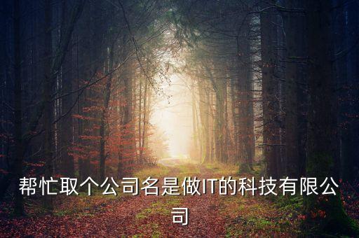 幫忙取個公司名是做IT的科技有限公司