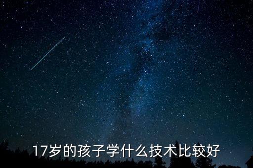 17歲的孩子學什么技術比較好