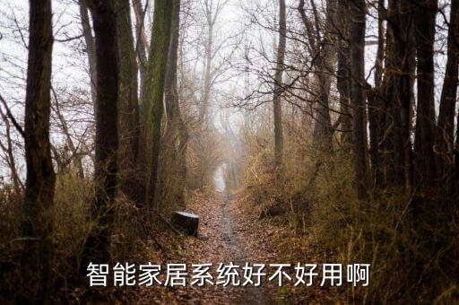 智能家居系統(tǒng)好不好用啊