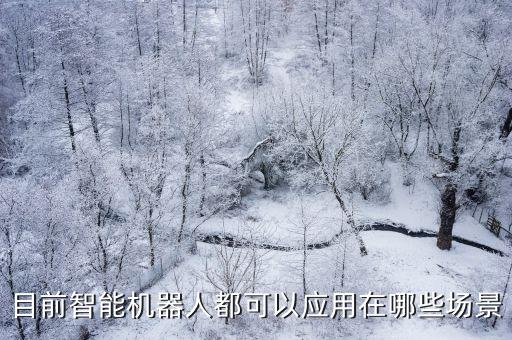科技自動化面向的場景包括，目前智能機器人都可以應用在哪些場景