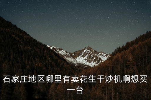 石家莊地區(qū)哪里有賣花生干炒機(jī)啊想買一臺