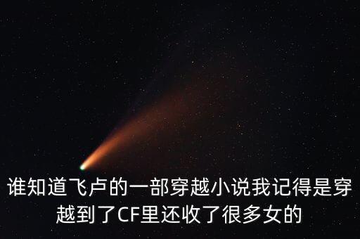 抗戰(zhàn)之大科學(xué)家飛盧小說，誰知道飛盧的一部穿越小說我記得是穿越到了CF里還收了很多女的