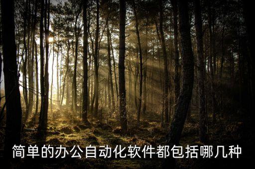 簡(jiǎn)單的辦公自動(dòng)化軟件都包括哪幾種