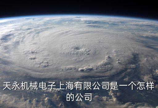 天永機械電子上海有限公司是一個怎樣的公司