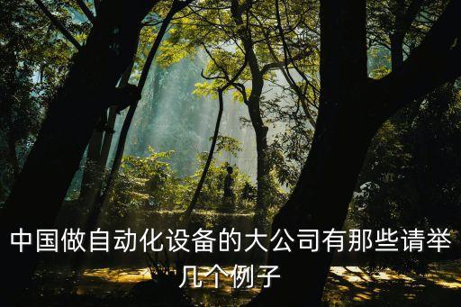 中國(guó)最大的自動(dòng)化設(shè)備公司是哪個(gè)，目前中國(guó)最大的最專業(yè)的伸縮裝車機(jī)制造廠家蘇州阿波羅自動(dòng)化設(shè)備