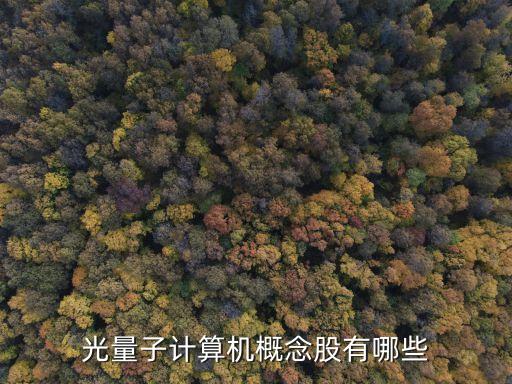 量子計(jì)算方面的股票，量子計(jì)算機(jī)概念股龍頭量子計(jì)算機(jī)概念股有哪些