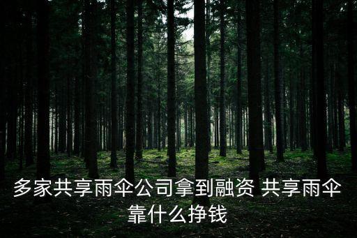 多家共享雨傘公司拿到融資 共享雨傘靠什么掙錢