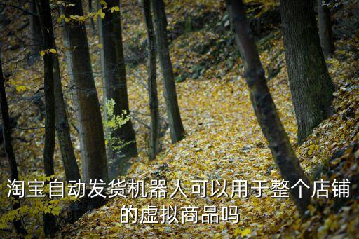 淘寶自動發(fā)貨機器人可以用于整個店鋪的虛擬商品嗎