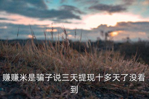 賺賺米是騙子說三天提現(xiàn)十多天了沒看到