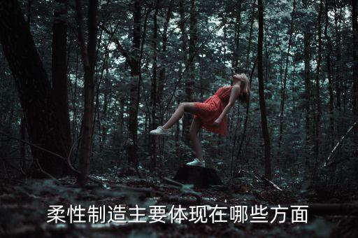 柔性制造主要體現(xiàn)在哪些方面
