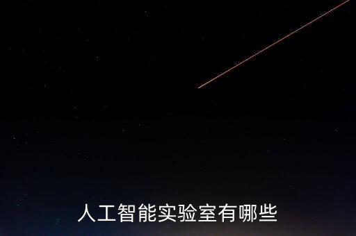 人工智能實(shí)驗(yàn)室有哪些