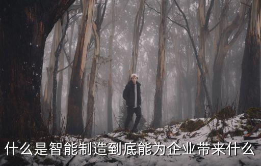 智能制造的含義及其特點(diǎn)，什么是智能制造到底能為企業(yè)帶來什么