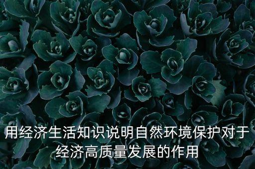 用經(jīng)濟(jì)生活知識(shí)說(shuō)明自然環(huán)境保護(hù)對(duì)于經(jīng)濟(jì)高質(zhì)量發(fā)展的作用
