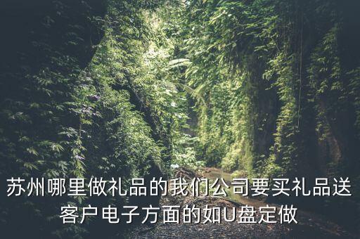 蘇州哪里做禮品的我們公司要買禮品送客戶電子方面的如U盤定做