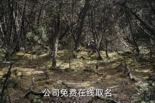 公司免費(fèi)在線取名