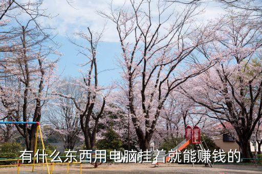 有什么東西用電腦掛著就能賺錢的