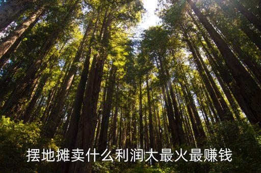 擺地?cái)傎u什么利潤(rùn)大最火最賺錢