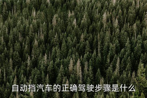 國(guó)內(nèi)最大自動(dòng)駕駛車隊(duì)，中國(guó)有汽車?yán)悊嵊惺裁磏b車隊(duì)嗎