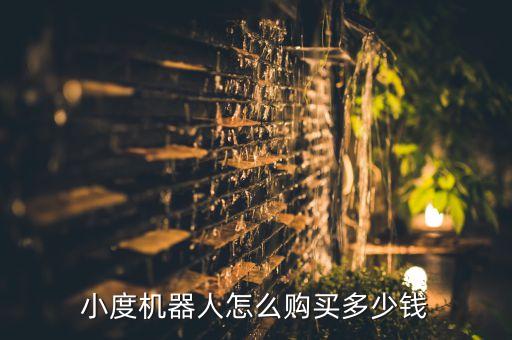 小度語音智能機器人，小度機器人怎么購買多少錢