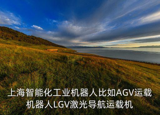 上海人工智能公司前10，上海智能化工業(yè)機(jī)器人比如AGV運(yùn)載機(jī)器人LGV激光導(dǎo)航運(yùn)載機(jī)