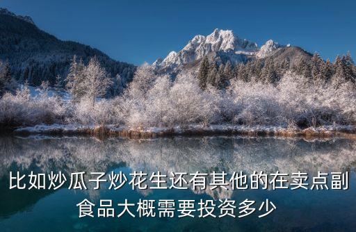 比如炒瓜子炒花生還有其他的在賣點副食品大概需要投資多少